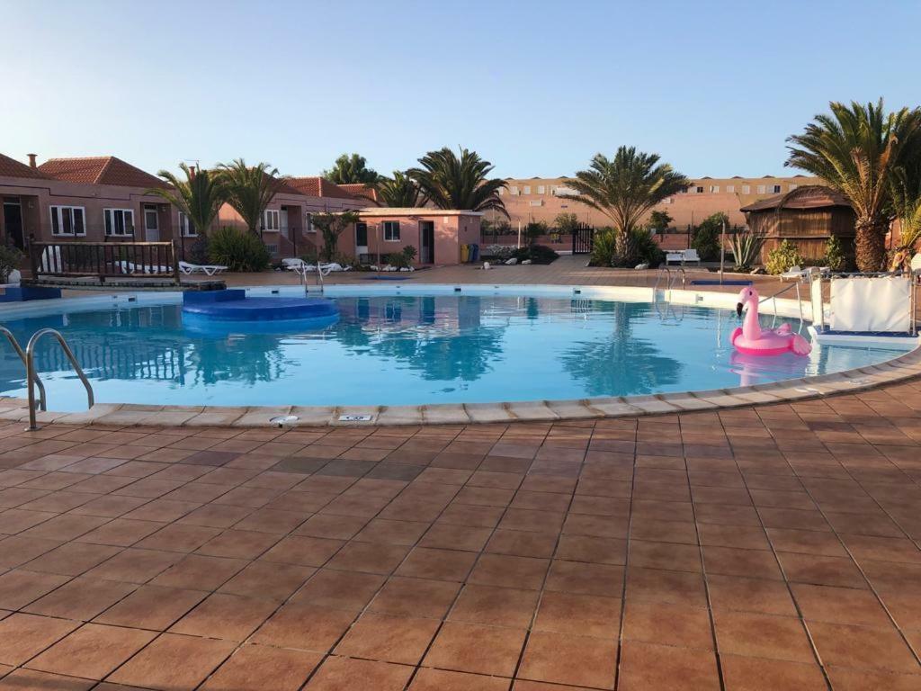 Paulalucia Daire Costa De Antigua Dış mekan fotoğraf