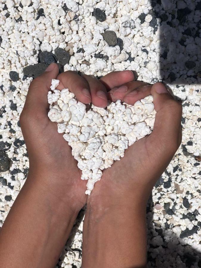 Paulalucia Daire Costa De Antigua Dış mekan fotoğraf